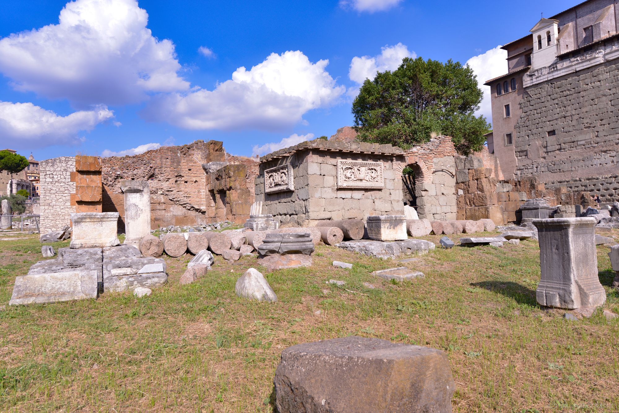 Forum romain - Ruines 1