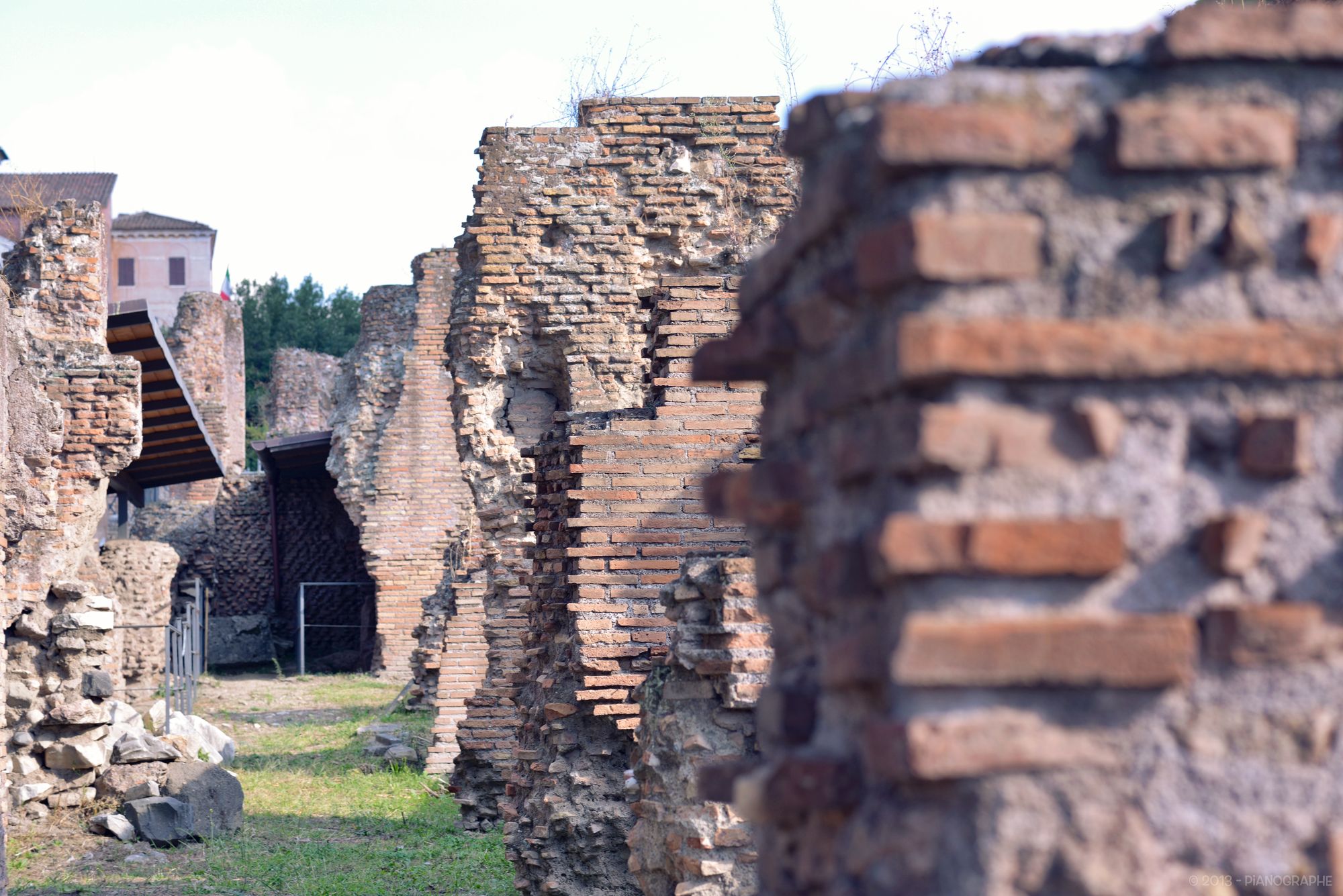 Forum romain - Ruines 2